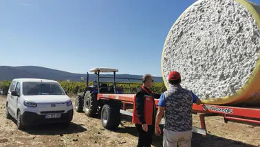Saruhanlı’da beyaz altın pamukta hasat başladı
