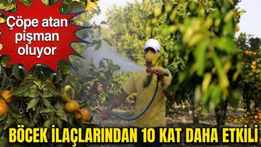 Çöpe atan pişman oluyor: Kabuğu böcek ilaçlarından bile güçlü çıktı