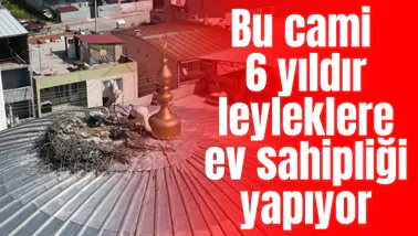 Bu cami 6 yıldır leyleklere ev sahipliği yapıyor