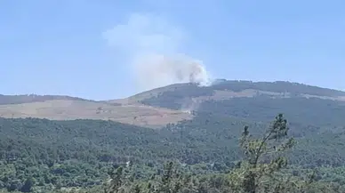 Ardı arkası kesilmeyen orman yangınlarına bir yenisi daha eklendi