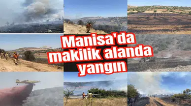 Manisa'da makilik alanda yangın