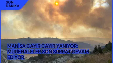 Manisa'daki yangına müdahale devam ediyor