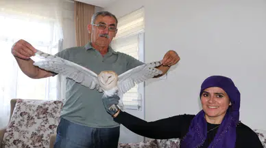 Talih Kuşu Evlerine Kondu