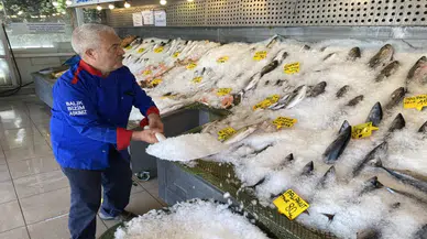 Balık Tezgahlarına Sıcak Hava Darbesi