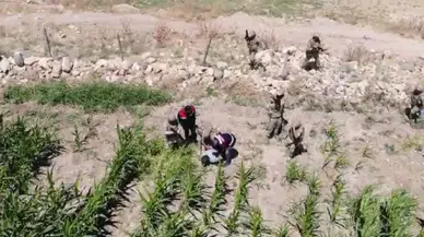Olay Yerinden Kaçtı Fakat Komandodan Kaçamadı