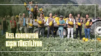 Özel Korunuyor, Kışın Tüketiliyor