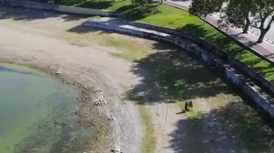 İznik Gölü Büyük Tehlikede