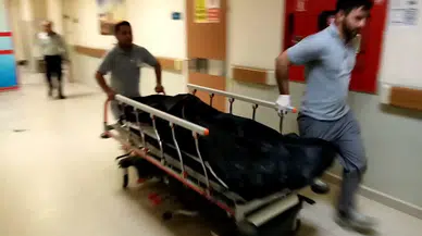 Kadının Sonunu Arı Getirdi