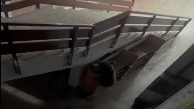 İş hanına giren ayı esnafa saldırdı