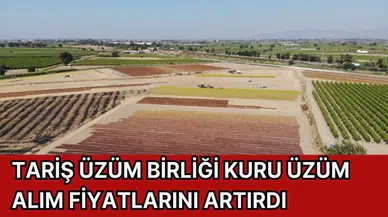 TARİŞ Üzüm Birliği kuru üzüm alım fiyatlarını artırdı