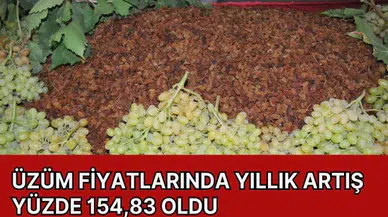 Üzüm fiyatlarında yıllık artış yüzde 154,83 oldu 