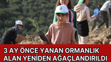 3 Ay önce yanan ormanlık alan yeniden ağaçlandırıldı