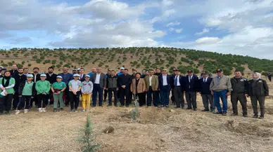 Alaşehir’de 500 adet çam fıstığı fidanı dikildi