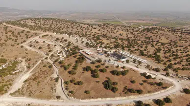 Sokak hayvanları için yapılan projede sona yaklaşılıyor