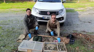 Saka kuşu avlamanın cezası 169 bin lira
