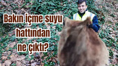 Bakın içme suyu hattından ne çıktı?