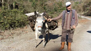Bu çiftçi eşeğinden vazgeçemiyor. Sebebini duyunca çok şaşıracaksınız!