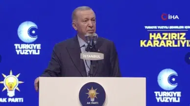 Cumhurbaşkanı Erdoğan'dan gündeme ilişkin değerlendirmeler
