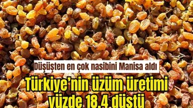 Düşüşten en çok nasibini Manisa aldı 