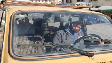 GDO'lu değil gezen tavuk