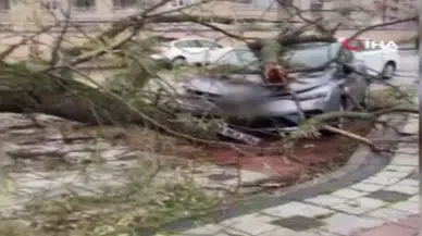 Lodos hayatı felç etti: çatıları uçurdu, ağaçları devirdi
