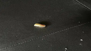 Nereden geldiği belli olmayan kurşun yürekleri ağıza getirdi