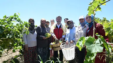 Kadınlar üretimin her alanında ama sosyal güvenceleri yok