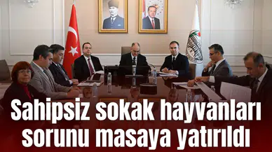 Sahipsiz sokak hayvanları sorunu masaya yatırıldı