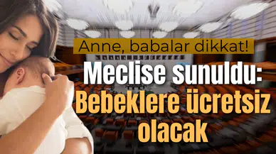 Meclis'e sunuldu! Bebeklere ücretsiz olacak!