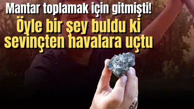 Mantar toplamak için gitmişti! Öyle bir şey buldu ki sevinçten havalara uçtu