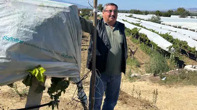 Bağ sahibinden ilginç çözüm