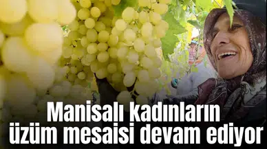 Manisalı kadınların üzüm mesaisi devam ediyor