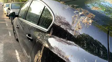 Kuş Pisliği Arabanızın Boyasını Bozmasın! İşte En Etkili Temizlik Yöntemleri