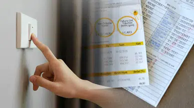 Elektrik Faturasını Yarıya Düşüren Doğal Yöntem: Bu Bitkiyi Odaya Koyan Kazanıyor!