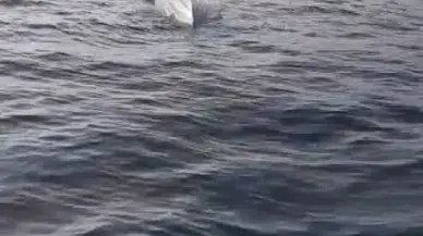 Bu insansız deniz araçları nereden geliyor?