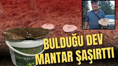 DEV MANTAR KARŞISINDA ŞOK OLDU