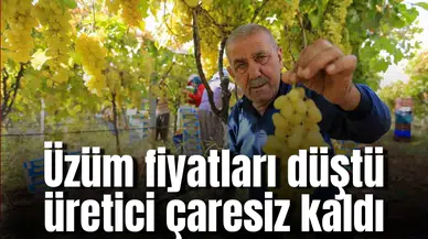 Üzüm fiyatları düştü üretici çaresiz kaldı