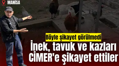 İnek, tavuk ve kazları CİMER'e şikayet ettiler