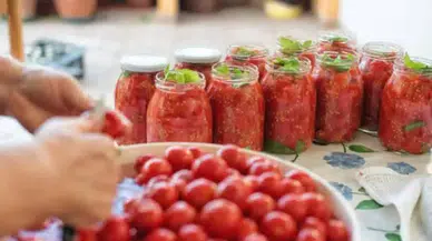 Yazın Tadı Kışa Taşınıyor: Domatesleri 2 Yıl Saklayan Mucize Tarif!