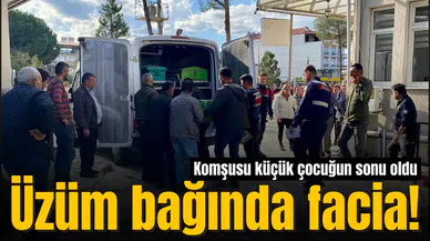 Üzüm bağında facia! Komşusu küçük çocuğun sonu oldu