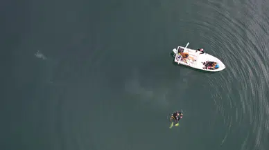 Sapanca Gölü'ndeki endişe veren kabarcıkların sırrı ne?