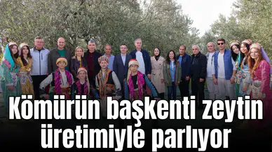Kömürün başkenti zeytin üretimiyle parlıyor