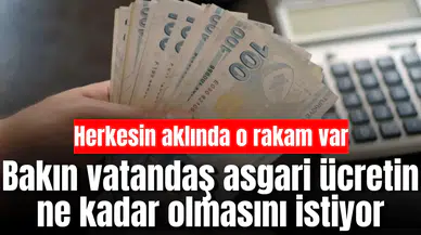 Bakın vatandaş asgari ücretin ne kadar olmasını istiyor