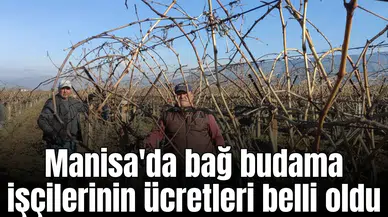 Manisa'da bağ budama işçilerinin ücretleri belli oldu