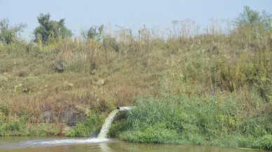 Manisa'da çevreyi kirletenlere ceza yağdı