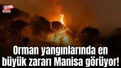 Orman yangınlarında en büyük zararı Manisa görüyor!