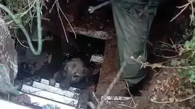 Foseptik çukuruna düştü, itfaiye tarafından kurtarıldı