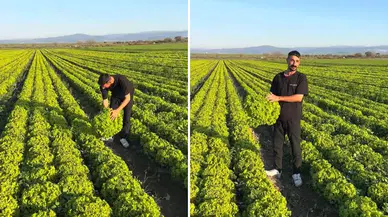 İzmirli çiftçinin isyanı pahalıya patladı