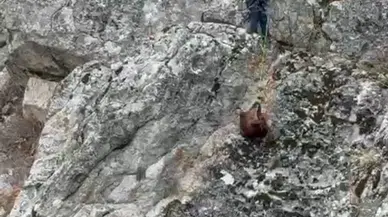 Dağda mahsur kalmışlardı, ekipler tarafından kurtarıldılar