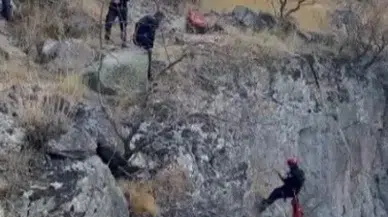 Uçurumda mahsur kalan keçinin imdadına itfaiye yetişti